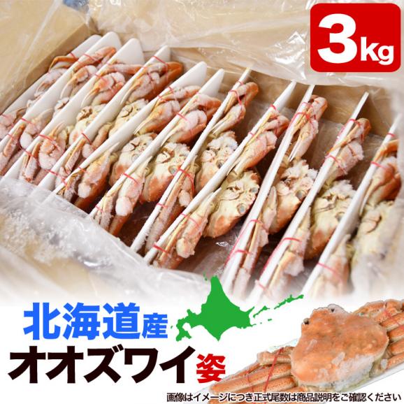 【在庫限り/お一人様2コまで】北海道産 オオ ズワイガニ 姿 8~12尾入り合計3kg前後 (1尾あたり約250~370g) オオズワイガニ カニ 蟹 かに パーティー【のし不可】01