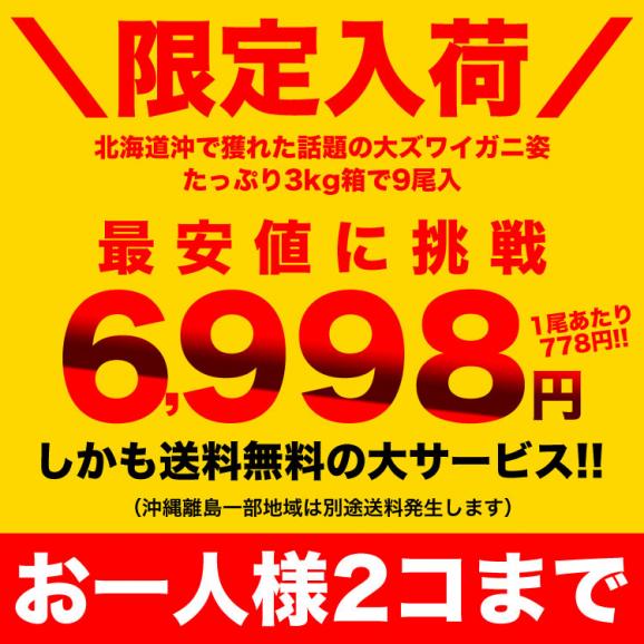 【スポット200コ／お一人様2コまで】北海道産 大 ズワイガニ 姿 9尾入り合計3kg前後 (1尾あたり約300g) オオズワイガニ カニ 蟹 かに パーティー02