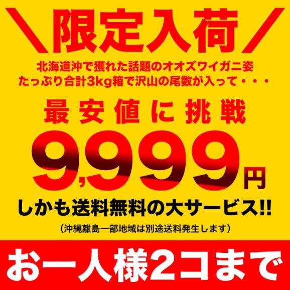【在庫限り／お一人様2コまで】北海道産 オオ ズワイガニ  姿 9～11尾入り合計3kg前後 (1尾あたり約270～330g) オオズワイガニ カニ 蟹 かに パーティー【のし不可】03