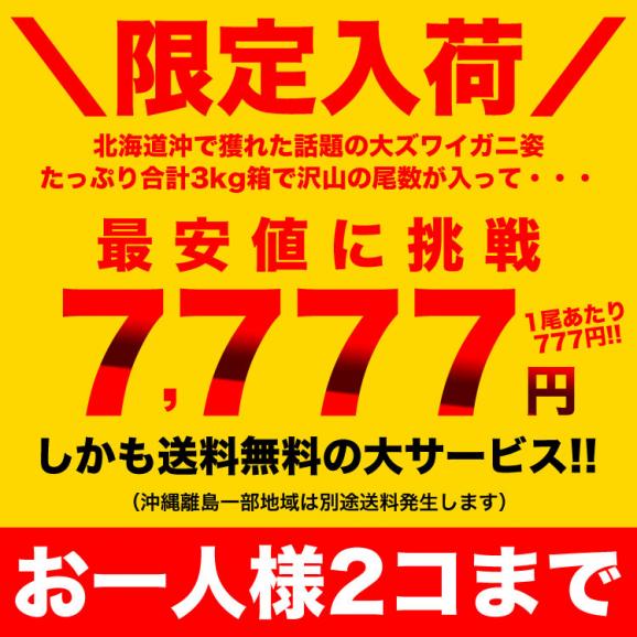 【在庫限り／お一人様2コまで】北海道産 オオ ズワイガニ (大ズワイガニ) 姿 10～11尾入り合計3kg前後 (1尾あたり約270～300g) オオズワイガニ カニ 蟹 かに パーティー【のし不可】03