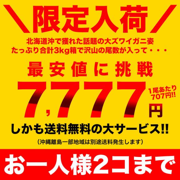 【在庫限り／お一人様2コまで】北海道産 オオ ズワイガニ (大ズワイガニ) 姿 11尾入り合計3kg前後 (1尾あたり約270g) オオズワイガニ カニ 蟹 かに パーティー03