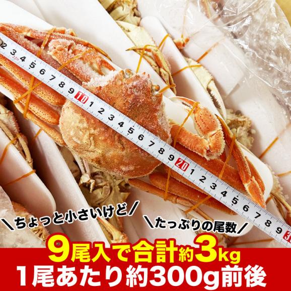 【スポット200コ／お一人様2コまで】北海道産 大 ズワイガニ 姿 9尾入り合計3kg前後 (1尾あたり約300g) オオズワイガニ カニ 蟹 かに パーティー04
