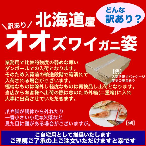 【在庫限り／お一人様2コまで】北海道産 オオ ズワイガニ (大ズワイガニ) 姿 11尾入り合計3kg前後 (1尾あたり約270g) オオズワイガニ カニ 蟹 かに パーティー04