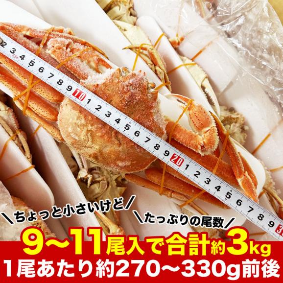 【在庫限り／お一人様2コまで】北海道産 オオ ズワイガニ  姿 9～11尾入り合計3kg前後 (1尾あたり約270～330g) オオズワイガニ カニ 蟹 かに パーティー【のし不可】05