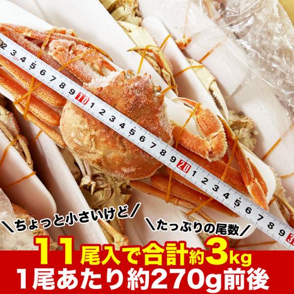 【在庫限り／お一人様2コまで】北海道産 オオ ズワイガニ (大ズワイガニ) 姿 11尾入り合計3kg前後 (1尾あたり約270g) オオズワイガニ カニ 蟹 かに パーティー05