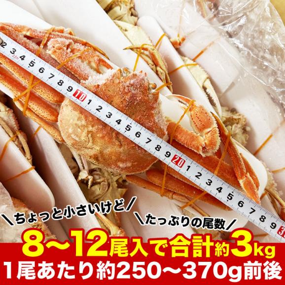 【在庫限り/お一人様2コまで】北海道産 オオ ズワイガニ 姿 8~12尾入り合計3kg前後 (1尾あたり約250~370g) オオズワイガニ カニ 蟹 かに パーティー【のし不可】05