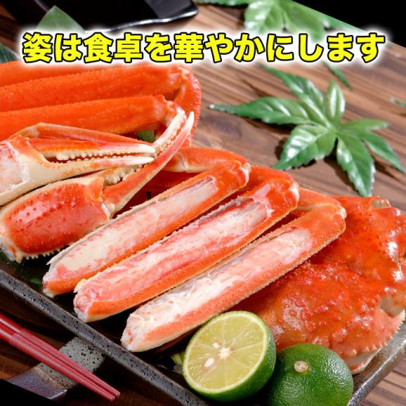 【スポット200コ／お一人様2コまで】北海道産 大 ズワイガニ 姿 9尾入り合計3kg前後 (1尾あたり約300g) オオズワイガニ カニ 蟹 かに パーティー05
