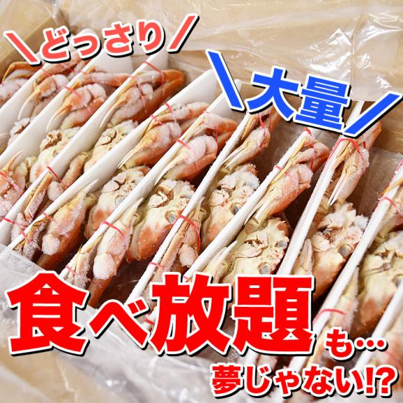 【在庫限り／お一人様2コまで】北海道産 オオ ズワイガニ (大ズワイガニ) 姿 11尾入り合計3kg前後 (1尾あたり約270g) オオズワイガニ カニ 蟹 かに パーティー06