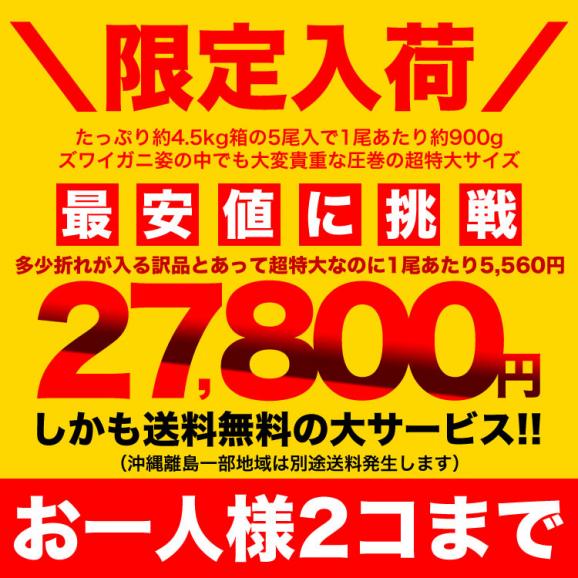 【スポット在庫限りお一人様2個まで】超 特大 ズワイガニ 姿 約4.5kg箱 5尾入り (1尾あたり約900g前後) ずわいがに カニ 蟹 かに パーティー [訳あり品につき多少折れたし脚が入ります]03