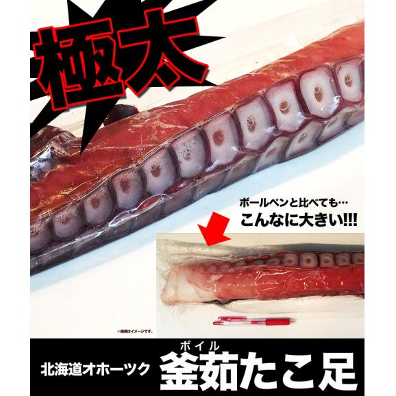 たこ 足 大型 ボイル 北海道産 800g 前後× 2本 セット 蛸 タコ 脚 刺身 タコ焼き 唐揚げ から揚げ03