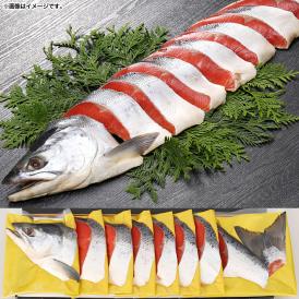 熟成紅鮭姿切身 半身 約800g前後[さけ/サケ]【特需】