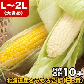 2025年収穫予約　とうもろこし 黄粒 白粒 食べ比べ セット L〜2L 各5本の計10本 北海道産 とうきび お届け日指定不可無効 2024年8月下旬前後頃よりご注文順に発送