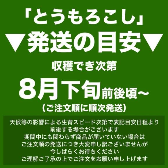 2025年収穫予約　とうもろこし 黄粒 白粒 食べ比べ セット L〜2L 各5本の計10本 北海道産 とうきび お届け日指定不可無効 2024年8月下旬前後頃よりご注文順に発送03