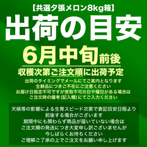 夕張メロン 8kg 元箱白 優 共選(4～6玉／玉数指定不可)(個別梱包不可)【お届け日指定不可無効】【2025年6月中旬前後頃よりご注文順に発送】02