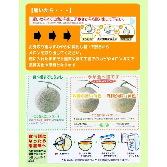 夕張メロン 8kg 元箱白 優 共選(4～6玉／玉数指定不可)(個別梱包不可)【お届け日指定不可無効】【2025年6月中旬前後頃よりご注文順に発送】05