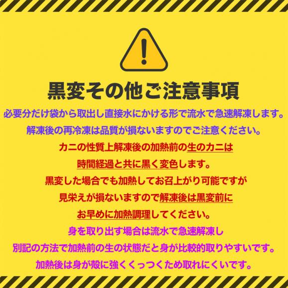 終売在庫大放出 鉄砲汁用 ダシ用 生タラバガニ 総重量 1kg 前後 カニ 蟹 かに 脚 切れ端たらば 訳あり お届け日指定不可 キャンセル不可 のし不可 送料別05