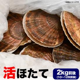 特売 ホタテ 活 貝付き 2kg 前後 10〜12枚前後 北海道産 帆立 ほたて お届け日指定不可 キャンセル不可 ご注文後1〜3週間前後で収獲次第出荷 長期不在受取り注意
