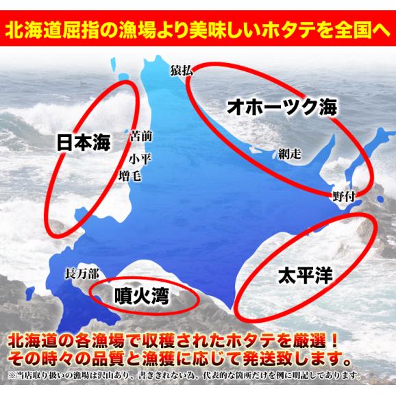 特売 ホタテ 活 貝付き 2kg 前後 10〜12枚前後 北海道産 帆立 ほたて お届け日指定不可 キャンセル不可 ご注文後1〜3週間前後で収獲次第出荷 長期不在受取り注意03