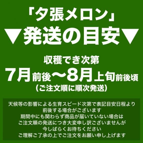 2026年収穫予約 夕張メロン 訳あり 1玉 約1.3kg メロン 北海道産 めろん 赤肉 2個注文で+1玉オマケ お届け日指定不可無効 2026年7月前後頃よりご注文順に発送02