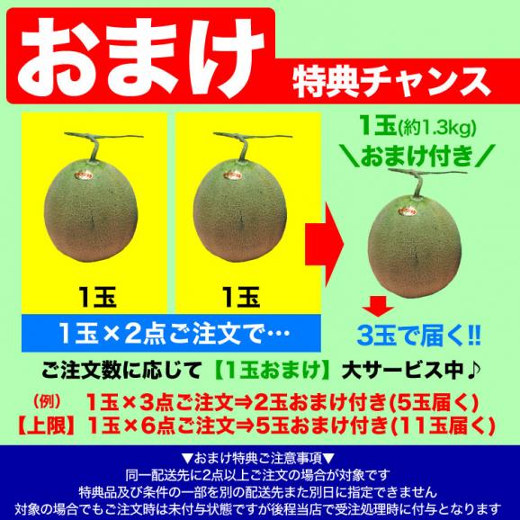 2026年収穫予約 夕張メロン 訳あり 1玉 約1.3kg メロン 北海道産 めろん 赤肉 2個注文で+1玉オマケ お届け日指定不可無効 2026年7月前後頃よりご注文順に発送03