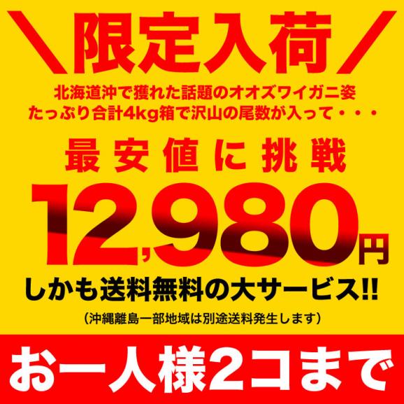 【在庫限り／お一人様2コまで】北海道産 オオ ズワイガニ  姿 12～14尾入(入数選択不可)合計4kg前後 オオズワイガニ カニ 蟹 かに パーティー【のし不可】03