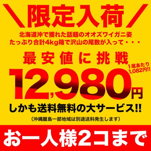 【在庫限り/お一人様2コまで】北海道産 オオ ズワイガニ 姿 12~14尾入(入数選択不可)合計4kg前後 オオズワイガニ カニ 蟹 かに パーティー【のし不可】03