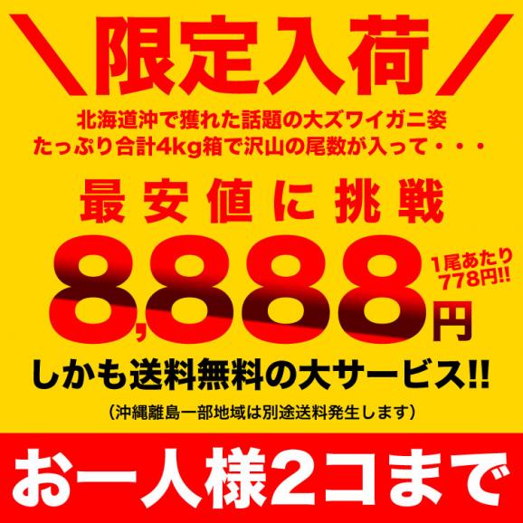 【在庫限り／お一人様2コまで】北海道産 オオ ズワイガニ (大ズワイガニ) 姿 12～14尾入(入数選択不可)合計4kg前後 オオズワイガニ カニ 蟹 かに パーティー【のし不可】03