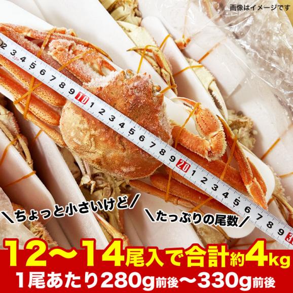 【在庫限り／お一人様2コまで】北海道産 オオ ズワイガニ (大ズワイガニ) 姿 12～14尾入(入数選択不可)合計4kg前後 オオズワイガニ カニ 蟹 かに パーティー【のし不可】05