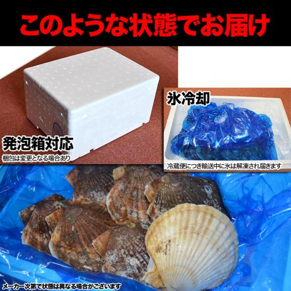 12月中旬から順次発送 特大ホタテ 活 貝付き 4kg前後 14~18枚前後 北海道産 帆立 ほたて お届け日指定不可選択無効 ご注文後1~3週間前後で収獲次第出荷02