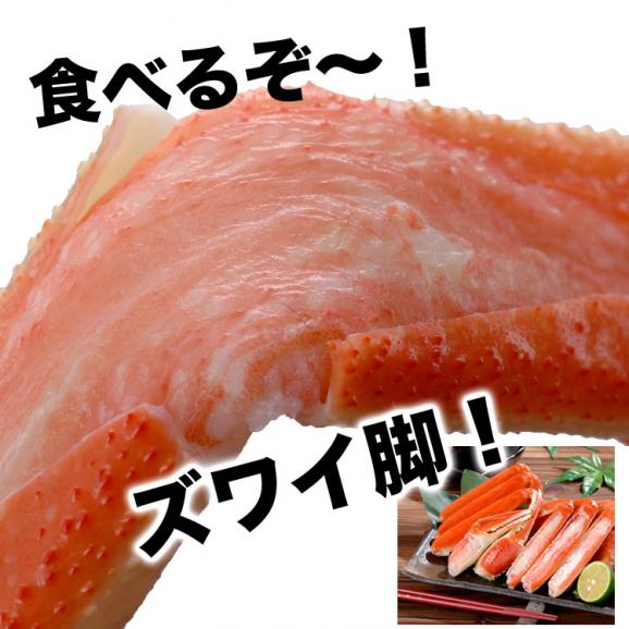 【超特大5L】ズワイガニ 脚 2kg 前後 4肩前後 ずわい ズワイ カニ 蟹 かに 脚 折脚たし脚入る場合があります04