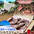 【2026年3月より順次出荷】 シルクスイート 約8kg 越冬品 北海道産 不揃い さつまいも サツマイモ 芋