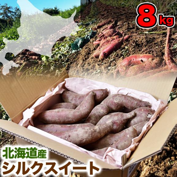 【2026年11月より順次出荷】シルクスイート 約8kg 北海道産 不揃い さつまいも サツマイモ 芋01