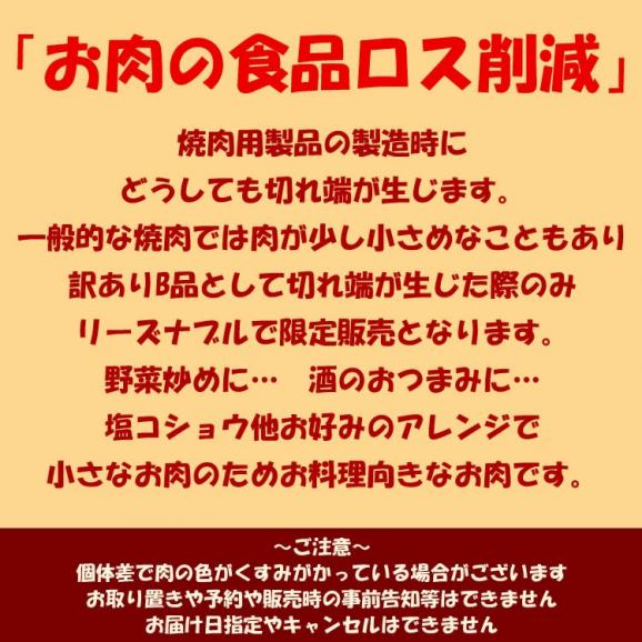 【お一人様2点まで】切れ端 牛ハラミ 秘伝タレ漬け 300g&times;5袋 (タレ込み) [ サガリ 切り落とし 切端 端っこ 訳あり 訳有 わけあり 味付き 焼肉 BBQ バーベキュー 野菜炒め 弁当 ] 02