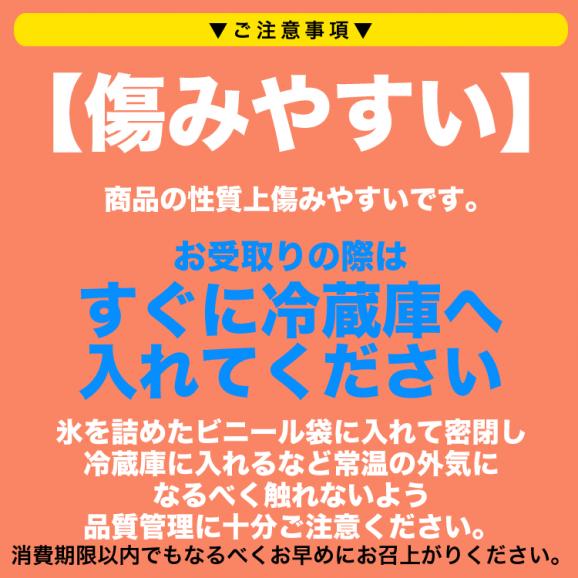 200g 塩水 バフンウニ 生 厳選A品プレミアム うに 雲丹 海栗 消費期限が短いため不在注意 お届け日指定不可／キャンセル不可 身の大小の指定不可02