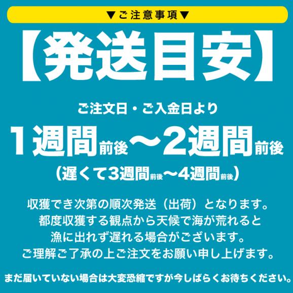 300g 塩水 バフンウニ 生 厳選A品プレミアム うに 雲丹 海栗 消費期限が短いため不在注意 お届け日指定不可／キャンセル不可 身の大小の指定不可05