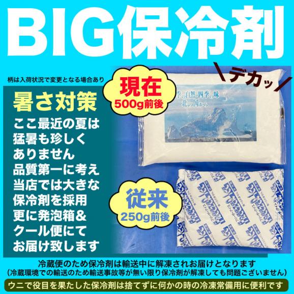 300g 塩水 バフンウニ 生 厳選A品プレミアム うに 雲丹 海栗 消費期限が短いため不在注意 お届け日指定不可／キャンセル不可 身の大小の指定不可06
