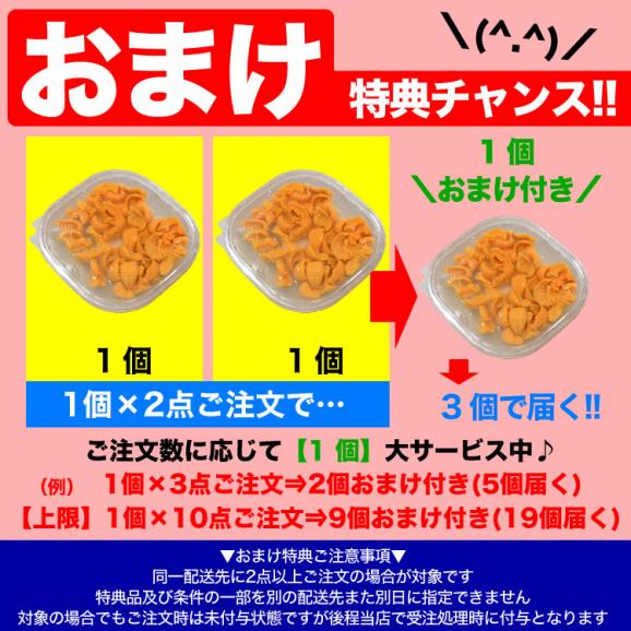 60g 塩水 バフンウニ 生 厳選A品プレミアム うに 雲丹 海栗 消費期限が短いため不在注意 お届け日指定不可／キャンセル不可 2個以上でオマケ付き02
