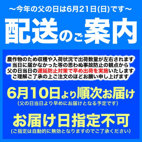 父の日 夕張メロン 良品 1玉 約1.3kg 北海道産 赤肉 めろん ギフト プレゼント 贈り物 贈答 化粧箱 説明書同封 6月10日～6月20日にお届け予定 お届け日指定不可02