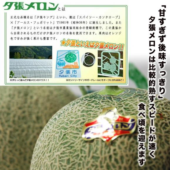 父の日 夕張メロン 良品 1玉 約1.3kg 北海道産 赤肉 めろん ギフト プレゼント 贈り物 贈答 化粧箱 説明書同封 6月10日～6月20日にお届け予定 お届け日指定不可04