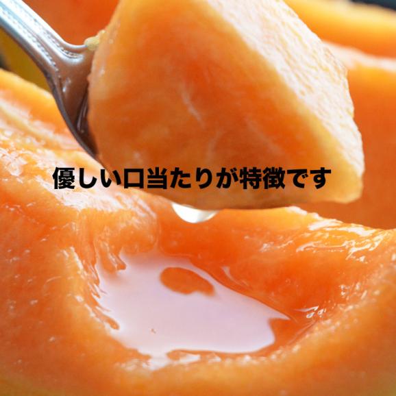 父の日 夕張メロン 良品 1玉 約1.3kg 北海道産 赤肉 めろん ギフト プレゼント 贈り物 贈答 化粧箱 説明書同封 6月10日～6月20日にお届け予定 お届け日指定不可06
