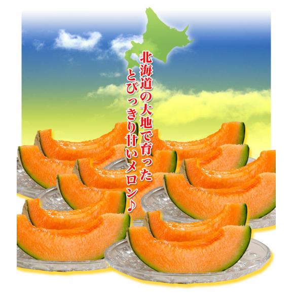 2026年収穫予約 特大 夕張メロン 訳あり 2玉で約4kg 1玉あたり約2kg 北海道産 めろん 赤肉 わけあり 訳有 お届け日指定不可無効 2026年7月前後頃より順次発送05