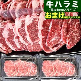 特売 牛ハラミ (サガリ) 4mm 薄切 スライス 600g (300g×2袋) 牛肉  焼肉 BBQ バーベキュー 【多少切れ端入ります】【多少色くすみあります】2点以上から注文数に応じオマケ付