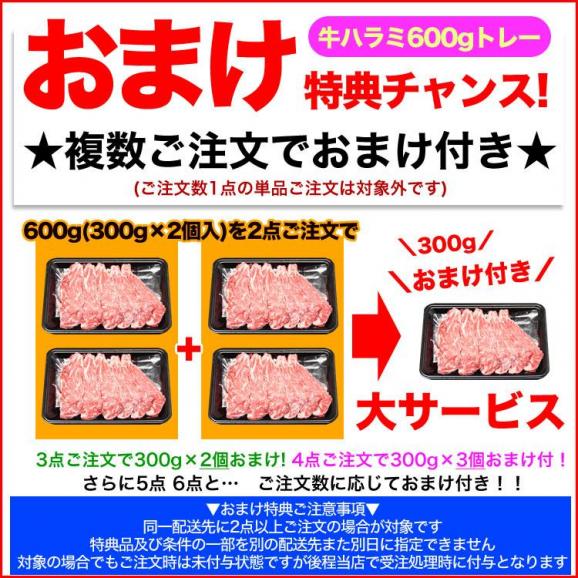 特売 牛ハラミ (サガリ) 4mm 薄切 スライス 600g (300g&times;2袋) 牛肉  焼肉 BBQ バーベキュー 【多少切れ端入ります】【多少色くすみあります】2点以上から注文数に応じオマケ付02