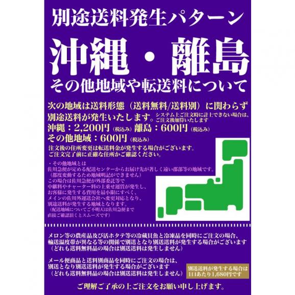 特売 牛ハラミ (サガリ) 4mm 薄切 スライス 600g (300g&times;2袋) 牛肉  焼肉 BBQ バーベキュー 【多少切れ端入ります】【多少色くすみあります】2点以上から注文数に応じオマケ付06
