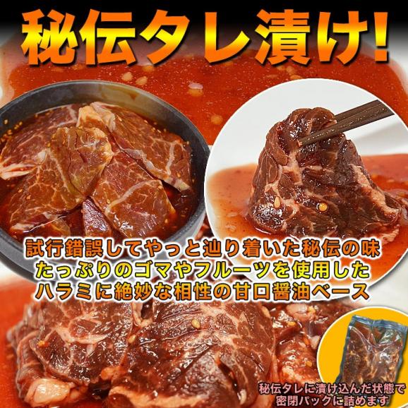 牛 ハラミ(サガリ) 600g (タレ込) 牛タンスライス 味付け無し 500g [セット]［焼肉 バーベキュー BBQ 野菜炒め 焼肉丼 お弁当 用にも］【2個以上から注文数に応じオマケ付き】05