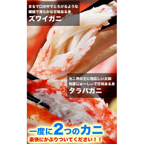二大蟹脚セット タラバガニ脚総重量 2kg 前後 ズワイガニ脚総重量 2kg 前後 合計総重量 4kg 前後 タラバ ズワイ たらば ずわい カニ 蟹 かに 脚 折脚たし脚03