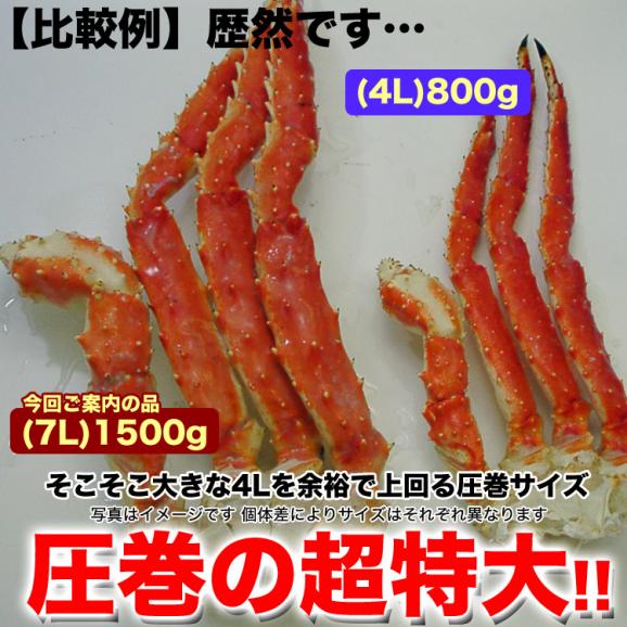 超特大 タラバガニ 脚 ゴールドラベル プレミアム 総重量3kg前後(1.5kg前後 2肩) たらば カニ 蟹 かに 脚 折脚たし脚入る場合があります【2点以上から注文数に応じオマケ付き】05
