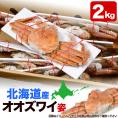 【在庫限り/お一人様2コまで】北海道産 オオ ズワイガニ 姿 6~7尾入り合計2kg前後 (1尾あたり約280~330g) オオズワイガニ カニ 蟹 かに パーティー【のし不可】
