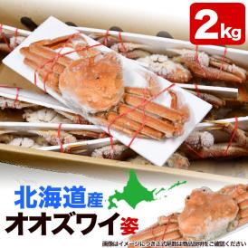 【在庫限り／お一人様2コまで】北海道産 オオ ズワイガニ  姿 6～7尾入り合計2kg前後 (1尾あたり約280～330g) オオズワイガニ カニ 蟹 かに パーティー【のし不可】