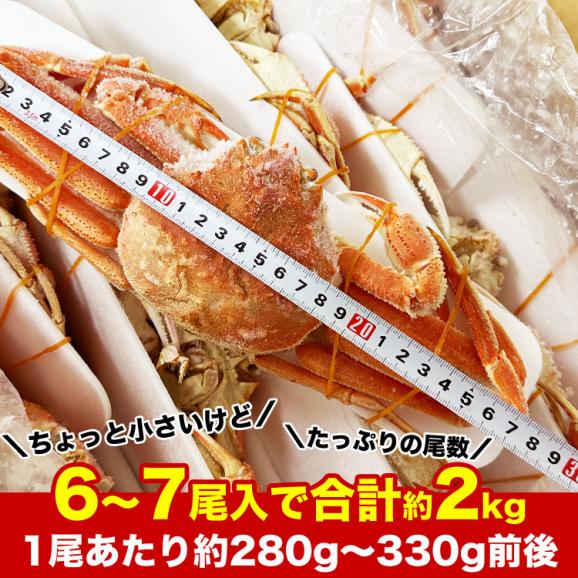 【在庫限り/お一人様2コまで】北海道産 オオ ズワイガニ 姿 6~7尾入り合計2kg前後 (1尾あたり約280~330g) オオズワイガニ カニ 蟹 かに パーティー【のし不可】05